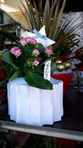 Natale-2