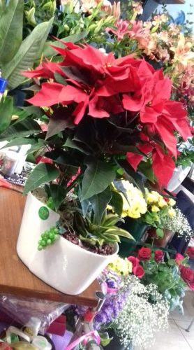Natale-21