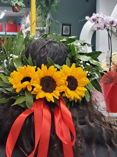 laurea-1