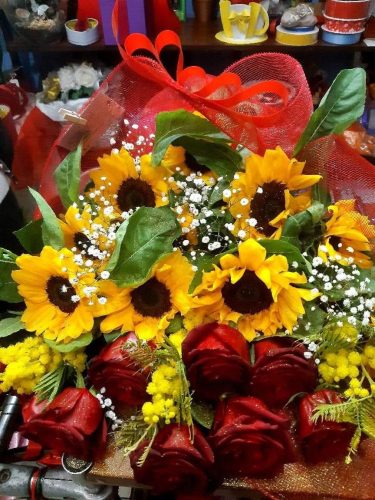 laurea-6