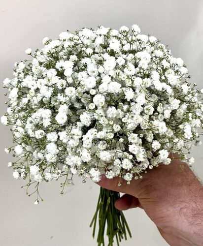matrimonio-2-11